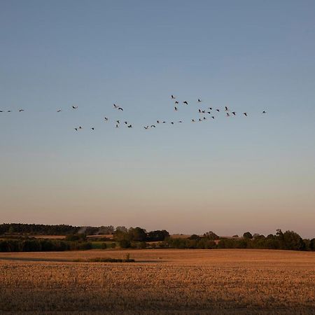 Radlerzimmer Mit Duschbad Und Minikueche In Neu Gaarz, Mitten In Der Natur Εξωτερικό φωτογραφία