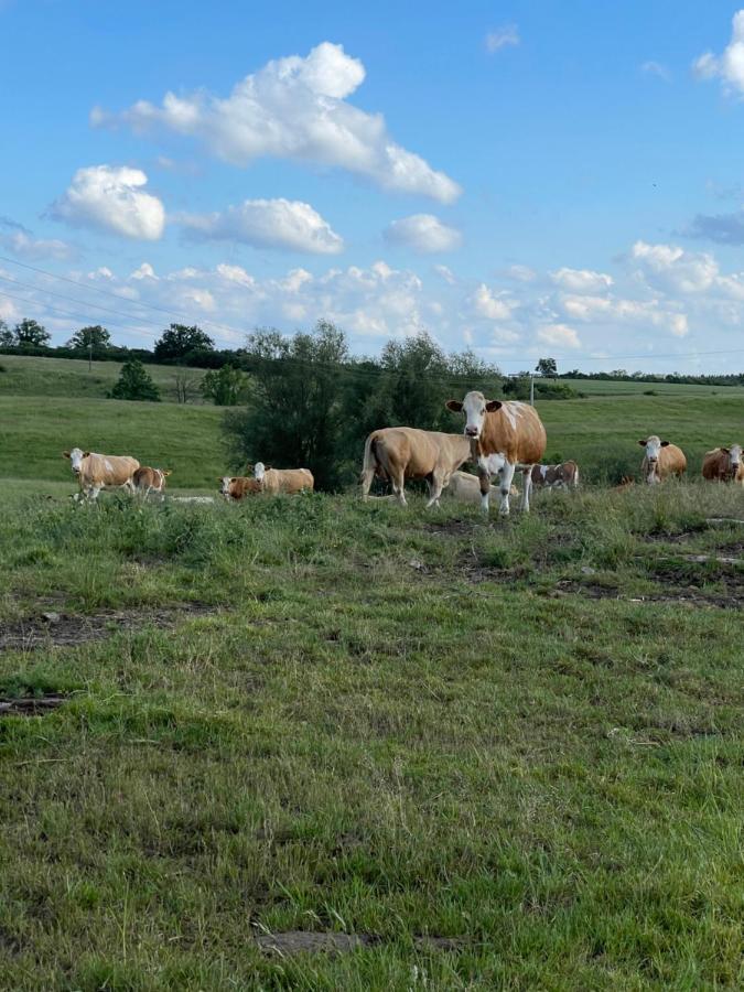 Radlerzimmer Mit Duschbad Und Minikueche In Neu Gaarz, Mitten In Der Natur Εξωτερικό φωτογραφία